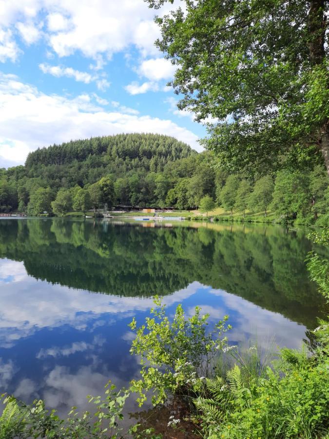Ferien Am Maar Lägenhet Daun Exteriör bild